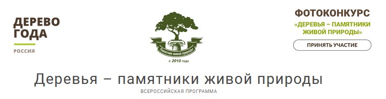Национальный конкурс Российское дерево года 2023